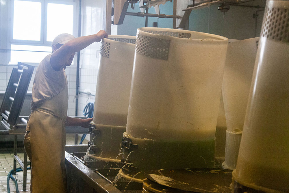 Fabrication du Gruyère râpé bio au lait de foin